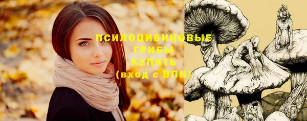 мдма Гусь-Хрустальный